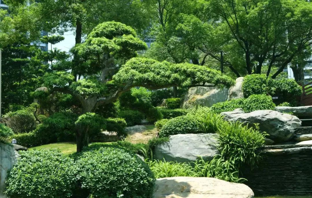 園林設(shè)計(jì)落地難的問題,被室內(nèi)設(shè)計(jì)師說(shuō)出來(lái)了.