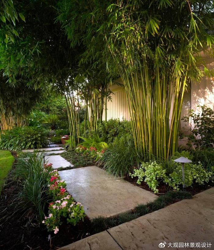 園林景觀設(shè)計(jì)中常用的竹類苗木產(chǎn)品有哪些你知道嗎?__財(cái)經(jīng)頭條